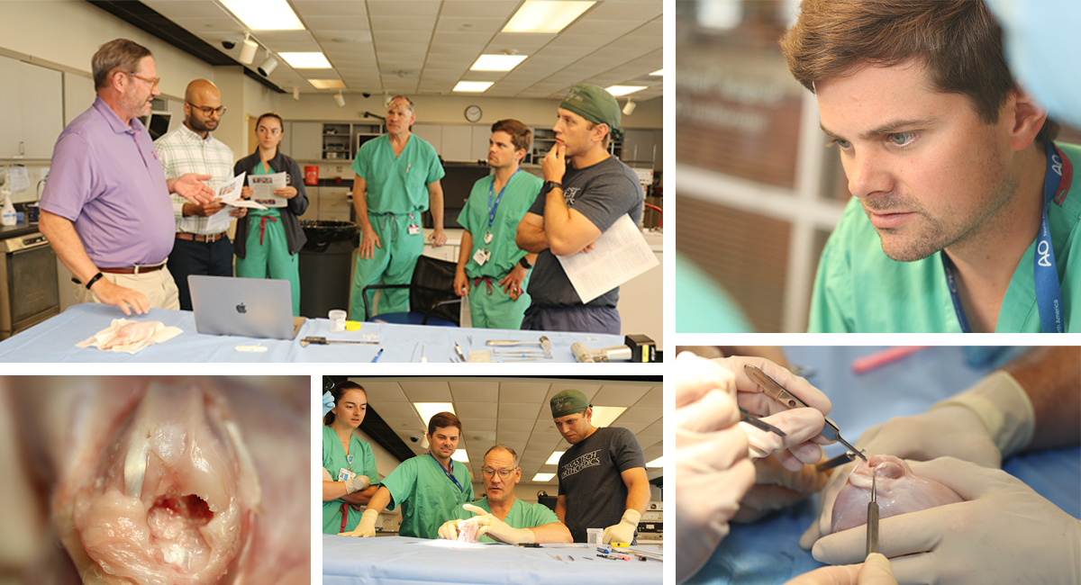 Biologic Scaffold Testing